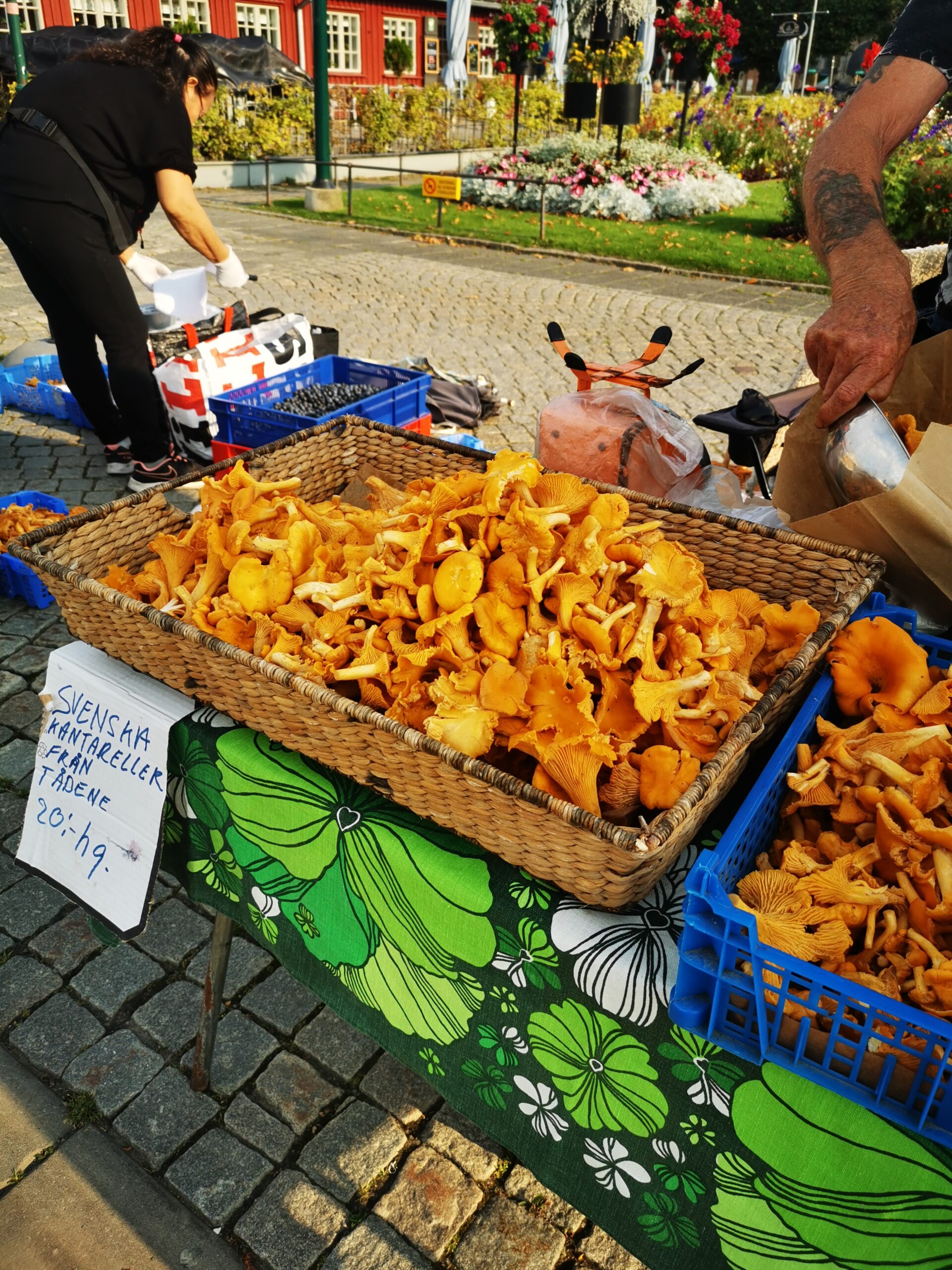 IMG_20240904_091116 oervoeding